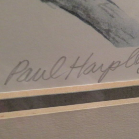 Blackburnian Warblers Paul Harpley Framed Birds Print 1989 (K373) - Picture 5 of 8